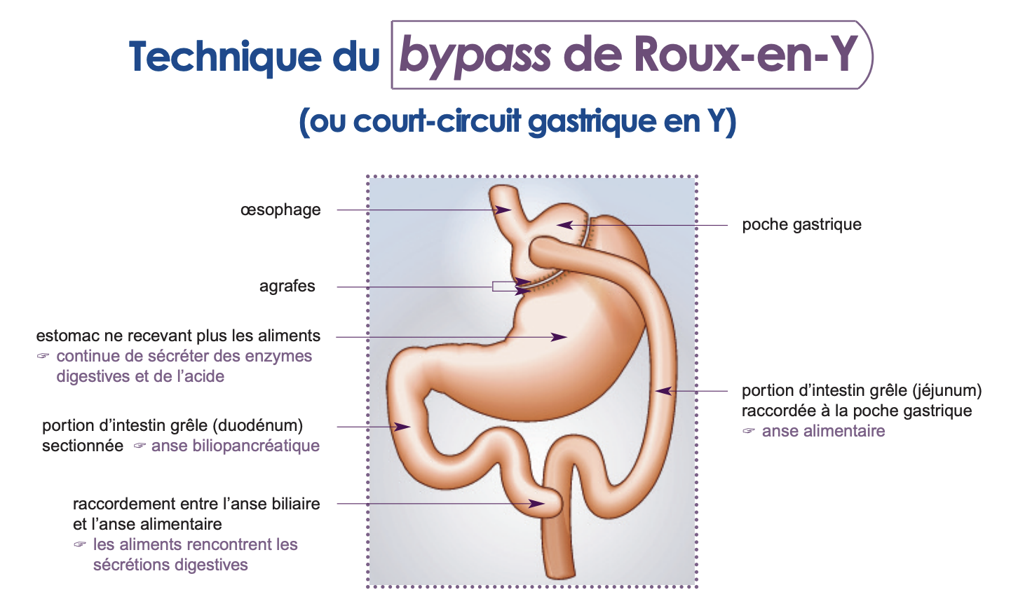 Capture d’écran 2024-01-16 à 10.20.40