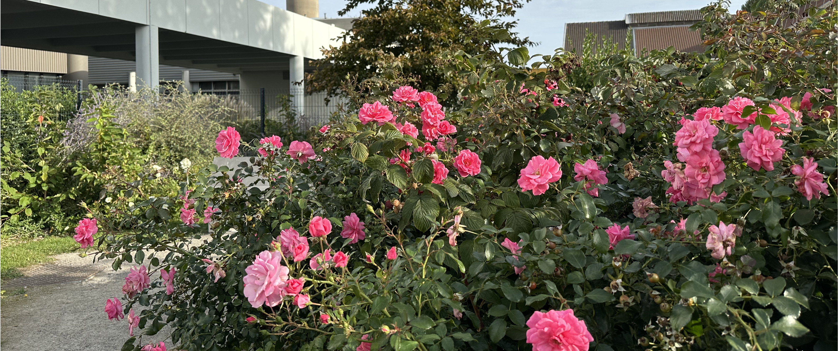 S'engager face aux enjeux écologiques en réduisant nos impacts environnementaux 1