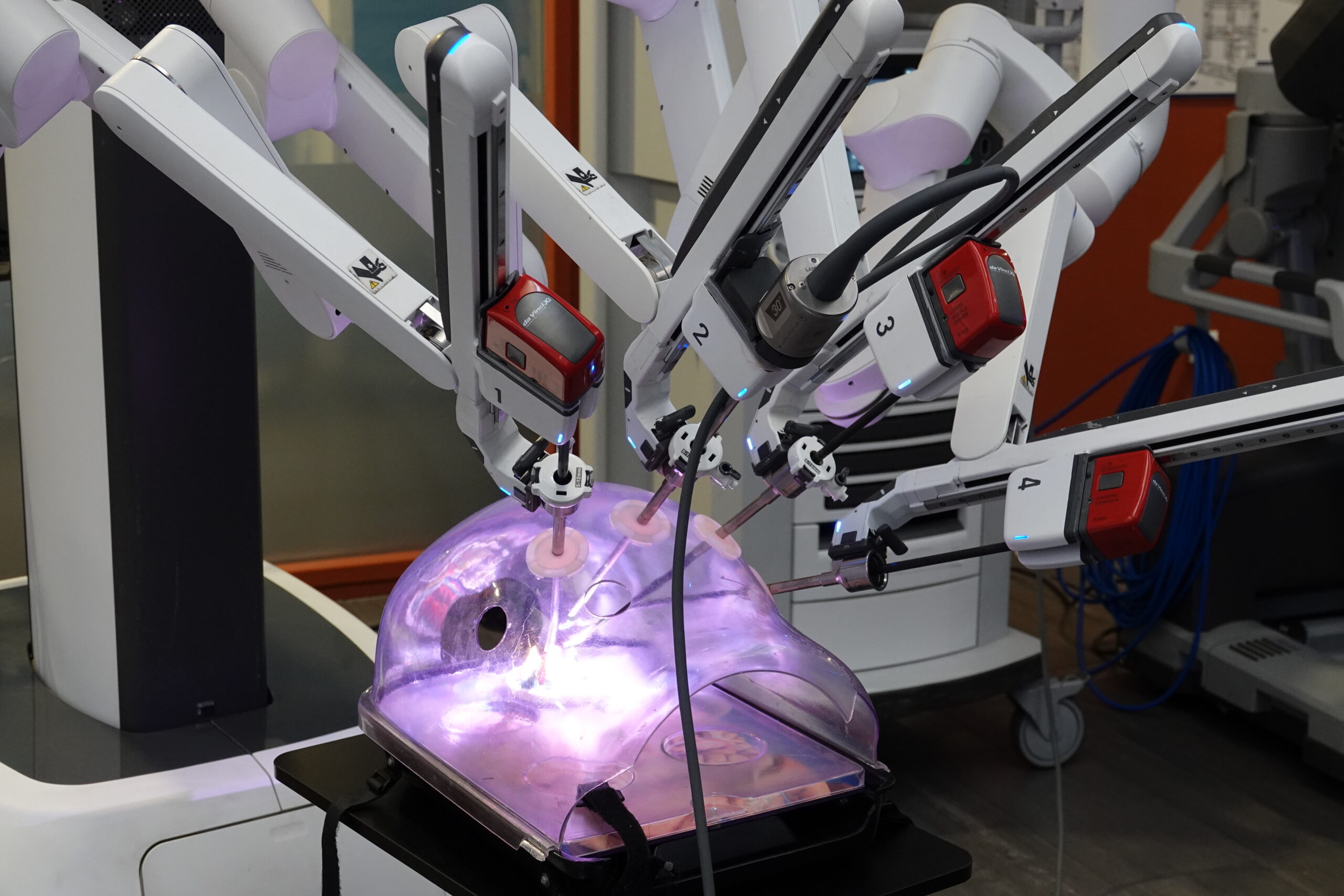 𝗔𝗖𝗧𝗨 𝗖𝗛𝗩 | 𝗥𝗲𝘁𝗼𝘂𝗿 𝗲𝗻 𝗶𝗺𝗮𝗴𝗲𝘀 𝘀𝘂𝗿 𝗹𝗮 𝗷𝗼𝘂𝗿𝗻𝗲́𝗲 𝗱𝗲 𝘀𝗲𝗻𝘀𝗶𝗯𝗶𝗹𝗶𝘀𝗮𝘁𝗶𝗼𝗻 𝗮̀ 𝗠𝗼𝘃𝗲𝗺𝗯𝗲𝗿 2